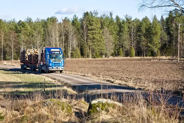 En blå timmerlastbil kör längs en grusväg kantad av åkermark med granskog i bakgrunden. 